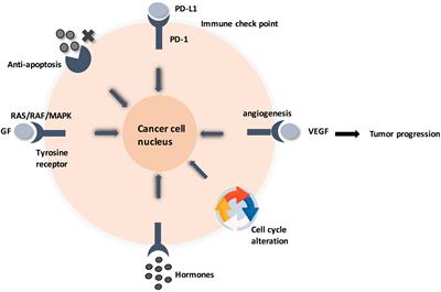 GPI-AP: Unraveling a New Class of Malignancy Mediators and Potential Immunotherapy Targets